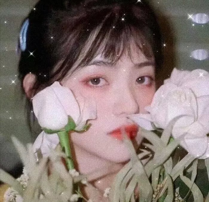 春日苦短少年恋爱吧。